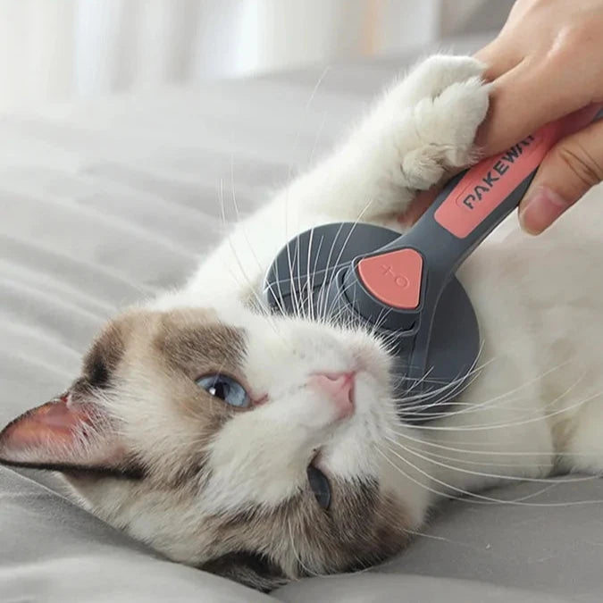 Pet Grooming Brush